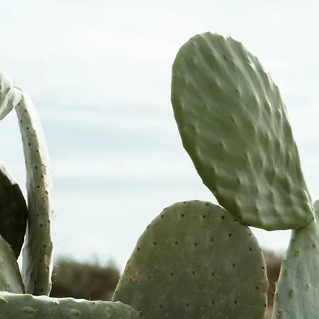 Kyma Paros Horizon Lux Appartement Kampos (Paros)