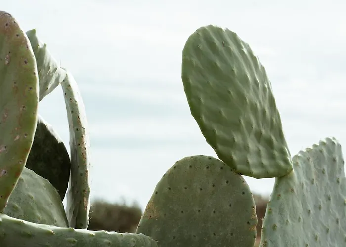 Kyma Paros Horizon Lux Апартаменты Kampos (Paros)